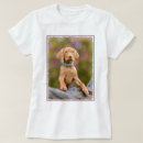 Zoek naar vizsla hond kleding Hondenliefhebbers