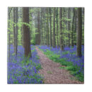 Recherche de piétons carreaux Forêt
