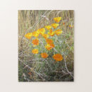 Recherche de coquelicots puzzles Coquelicot de californie