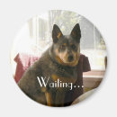 Recherche de merchbooth magnets Photographie