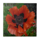 Recherche de oriental carreaux Nature