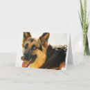 Zoek naar duitse herdershonden kaarten Duitse herder puppy