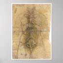 Zoek naar organen posters Anatomie
