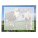 Zoek naar schapen notitieblokken Dier