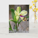 Recherche de papillon tropical vœux cartes Fleur