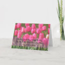 Zoek naar tulpen verjaardagskaarten Roze tulp verjaardagskaart