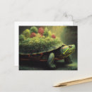 Recherche de coquille de tortue cartes postales Nature