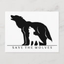 Zoek naar witte wolf briefkaarten Dieren