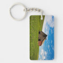 Recherche de vieille porte de grange accessoires Agriculture