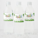 Recherche de dinosaure aliments conservation Baby shower