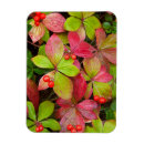 Recherche de colombie britannique magnets Baie