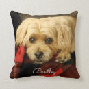 Recherche de plaid vert coussins Pour tous