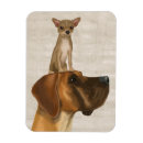 Zoek naar chihuahua magneten Dieren