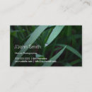 Recherche de baiser photographie Vert