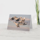 Zoek naar vliegende vogels kaarten Vleugels