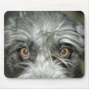 Recherche de irish tapis souris Chien