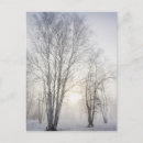 Recherche de jour neige cartes postales Nature