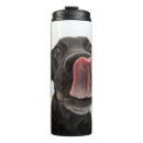 Recherche de labrador retriever noir tasses Chiot