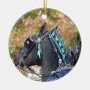 Recherche de chevaux de trait ornements Percheron