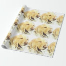 Recherche de golden retriever papier cadeau Anniversaire