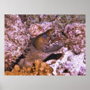 Recherche de wide posters Nature