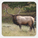 Zoek naar elanden stickers Wild