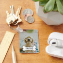 Recherche de animal mignon porteclés Pour animaux