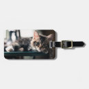 Recherche de tigre bagages étiquettes Photographie