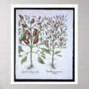 Zoek naar chili kunst Bloemen