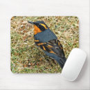 Recherche de oiseaux chanteurs tapis souris Photographie de la faune