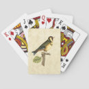 Recherche de oiseaux jeux de cartes Branche