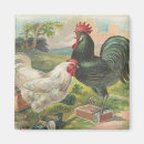 Recherche de coq vintage magnets Cru