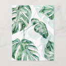 Recherche de feuille tropical cartes postales Vert
