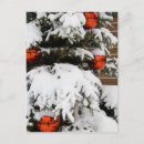 Recherche de jaspe cartes postales De près