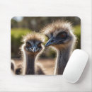 Recherche de animaux australiens tapis souris Nature