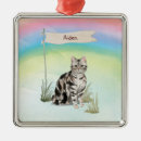 Recherche de short ornements Chat