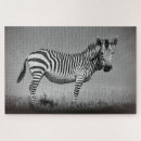 Recherche de zebra puzzles Safari