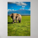 Zoek naar van olifanten posters Landschap