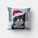 Recherche de chats domestiques coussins Humour