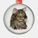 Zoek naar tabby cat ornamenten Maine
