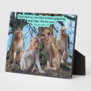 Recherche de singes plaques Toute personne