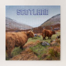 Recherche de vaches des montagnes puzzles Nature