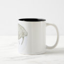 Recherche de espèces tasses Animal