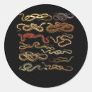 Recherche de herpetologist Serpent