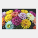 Recherche de chrysanthème autocollants Botanique
