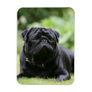 Recherche de fixation magnets Plomb et pam langrish
