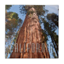 Recherche de géant carreaux Californie