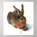 Zoek naar konijnen posters Bunny