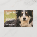 Recherche de berger australien cartes visite Animal familier