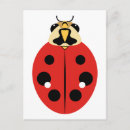 Recherche de coccinelle rouge cartes postales Insecte